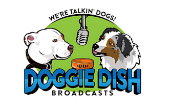 design exceptional podcast cover art or logo, podcast artwork and podcast cover