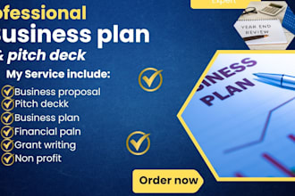 write you a business plan startup, pitch deck and financial plan