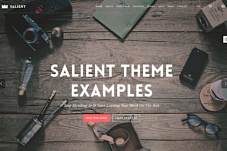 customize any premium wordpress theme salient, enfold, bridge, etc
