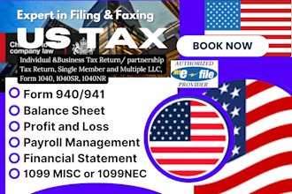 prepare and efile income tax returns for individual and business 1040 1120 1065