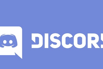 create a professional and custom discord server for you