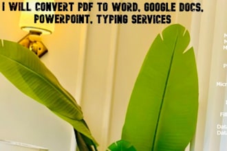 pdf to word, google docs, powerpoint, typing services