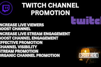 boost your twitch channel with targeted promotion