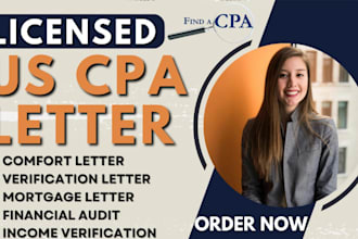 provide US CPA, audit financial statement, comfort letter