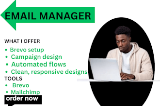 design newsletter marketing template on brevo,mailchimp