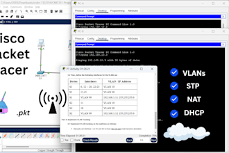 help you with cisco packet tracer assignments and labs