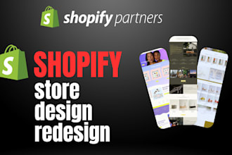 setup 6 figure shopify website or shopify store