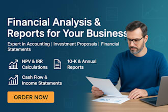 do accounting and finance assignment, financial analysis excel project