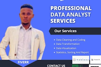 do data entry and data analyst