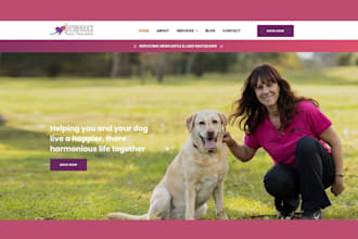 create pet website dog training dog website cat pet training website cat website
