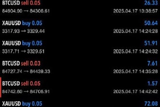 manage your mt4, mt5 account, mt5 account management with low risk management