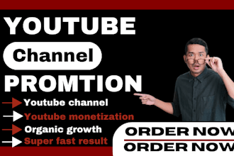 promote youtube video channel promotion organic subscribers