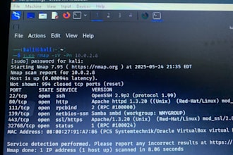 conduct detailed vulnerability assessment and pen test