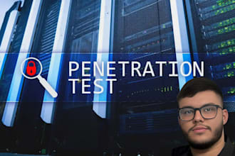 perform a penetration test with professional report