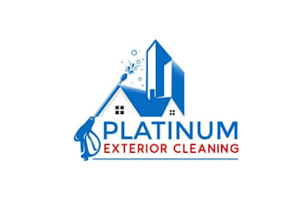 design high quality platinum exterior cleaning logo