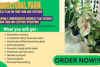 write 2025 agriculture farm business plan,financial proposal 2025 grant research