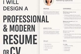 design a unique infographic resume for job success