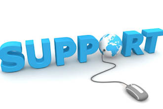 fix your desktop or laptop over the internet, remote IT support, services