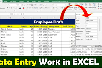 do data entry on excel
