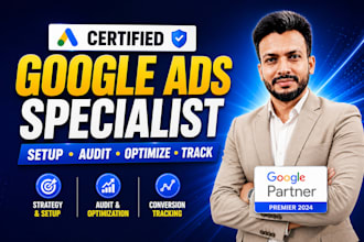 setup, audit, optimize google ads campaign tracking