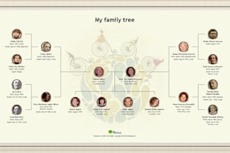 design infographic family tree chart