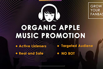 do 1m USA amazon music promotion, beatport, apple songs promotion via google ads