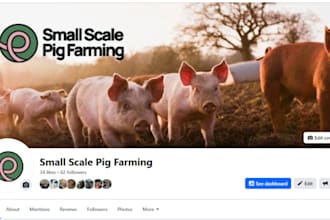 design a responsive pig farm website