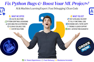 python development, debug, scripting, automation in 3 hour