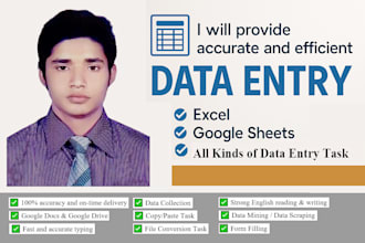 provide accurate and efficient data entry services