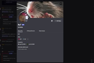 make custom discord bot scripts