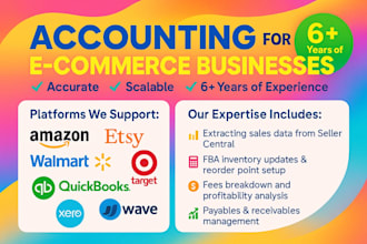 be your amazon, ebay, shopify bookkeeper and ecommerce assistant