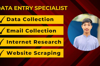 do data entry, data input, data extraction, email collection, website scraping