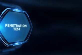 expert external website penetration testing owasp
