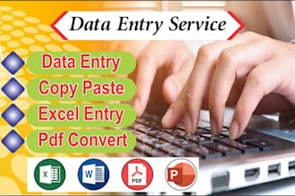 do data entry tasks in ms word and excel