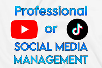 manage and grow your tiktok or youtube account professionally
