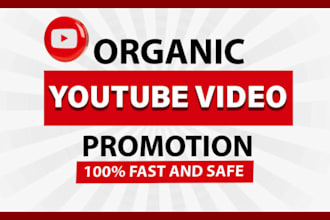 skyrocket youtube promotion channel growth for monetization organic subscribers