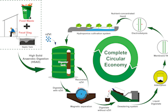 draw a scientific graphical abstract and process