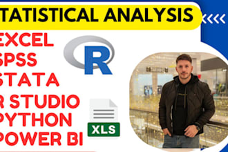 handle statistical data analysis with spss, excel, stata, tableau, or python