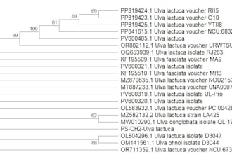 do filogenetic trees and some in biotechnology