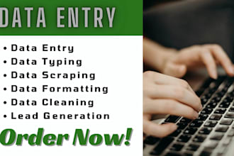 do data entry, data typing, web research and copypaste work