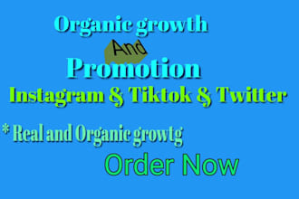 organic twitter, tiktok marketing and promotion