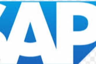 develop, customize, or debug sap abap programs and reports