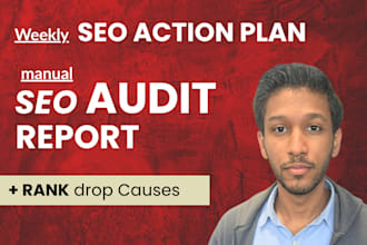 perform a detailed SEO audit with a PDF report and action plan