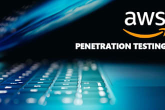 perform expert AWS environment penetration testing