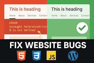 fix bugs or issues on your wordpress or static website