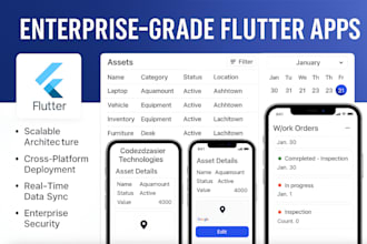 develop a professional flutter mobile app with enterprise level features