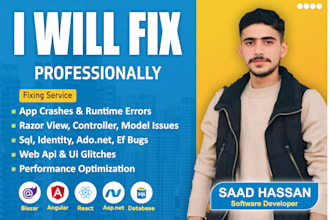 fix bugs and develop asp net core mvc web applications