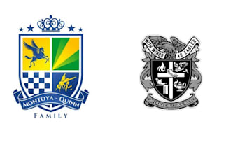 design family crest coat of arms heraldic logo