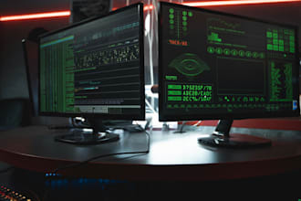 conduct vulnerability scanning and reporting on your website