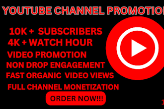 do USA youtube channel promotion,short video grow subscription for monetization